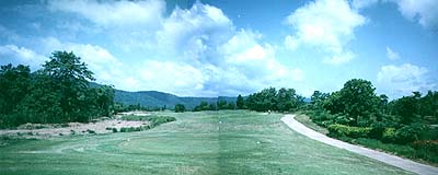 Green Panorama Photo